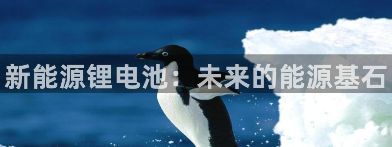 门徒娱乐是什么平台