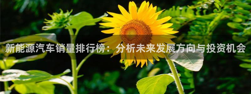门徒娱乐网页版登录：新能源汽车销量排行榜