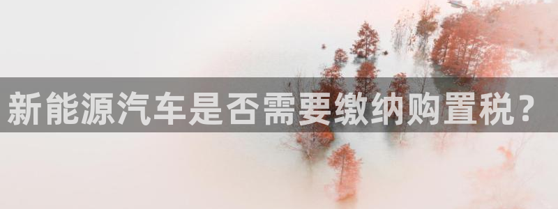 新功夫之王娱乐门徒：新能源汽车是否需要缴