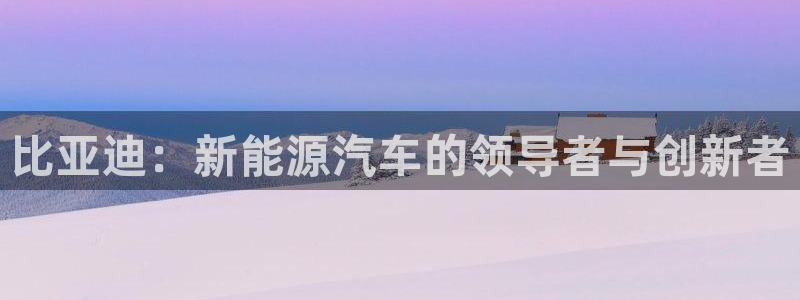 门徒娱乐是啥东西：比亚迪：新能源汽车的领