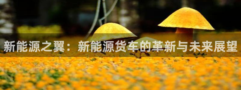 门徒第娱乐月