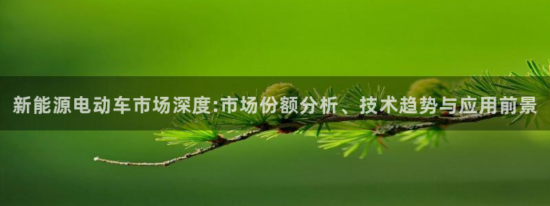 门徒娱乐场究7276O：新能源电动车市场