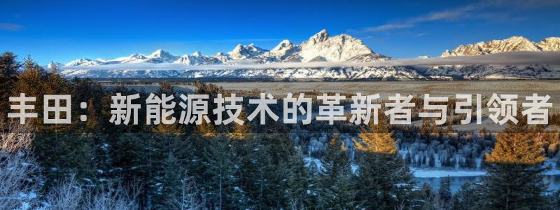 门徒娱乐平台介绍图片：丰田：新能源技术的